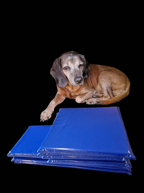Hovedbilde Hundematte 100x55x5