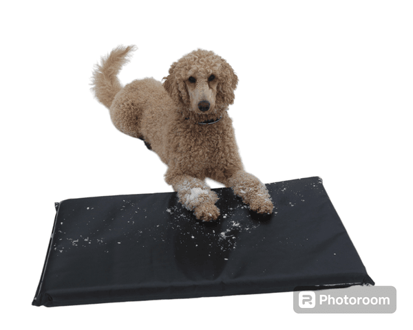 Hovedbilde Hundematte 90x52