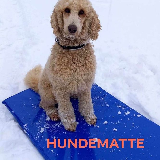Hovedbilde Hundematte 88x85